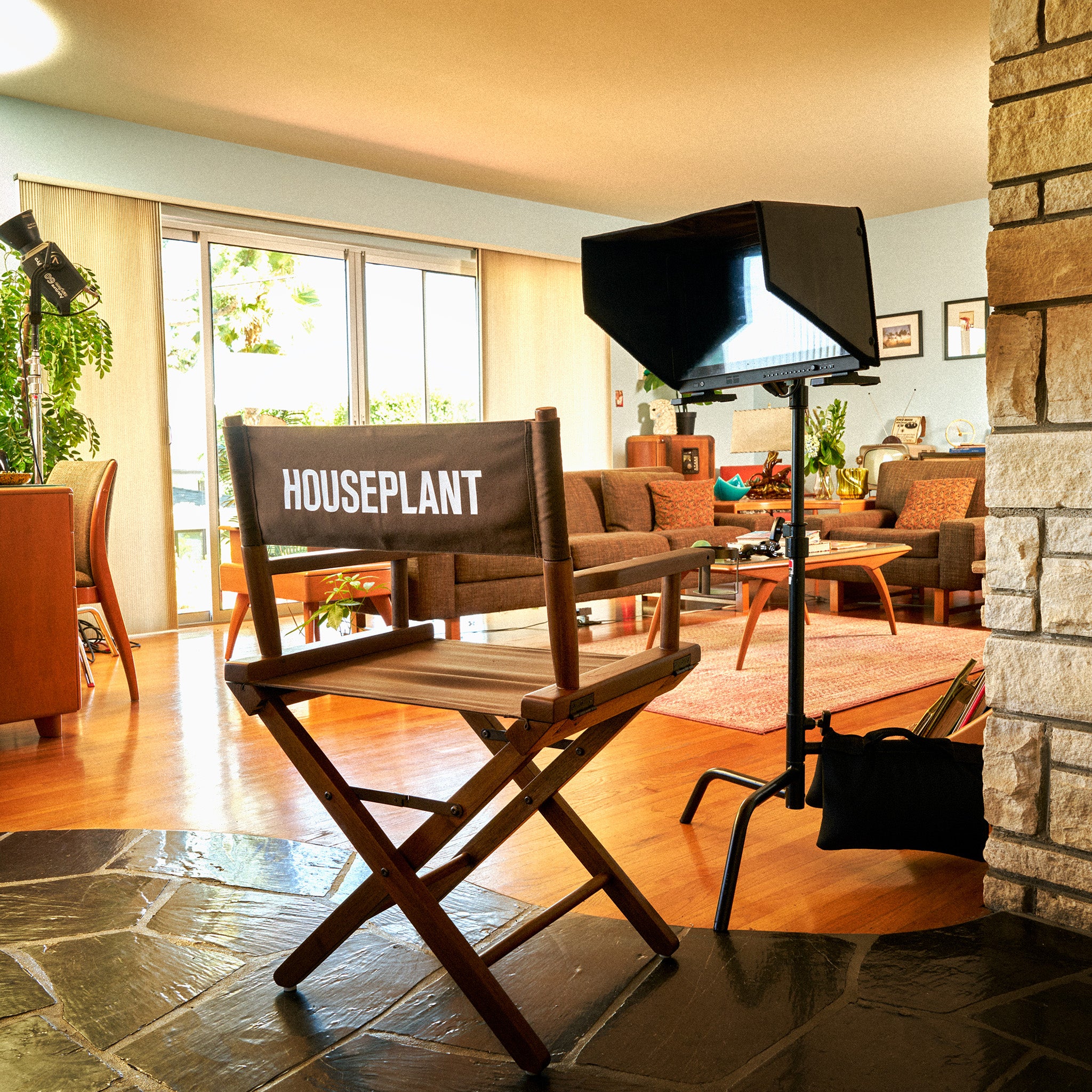 house plant furniture Director's Chair