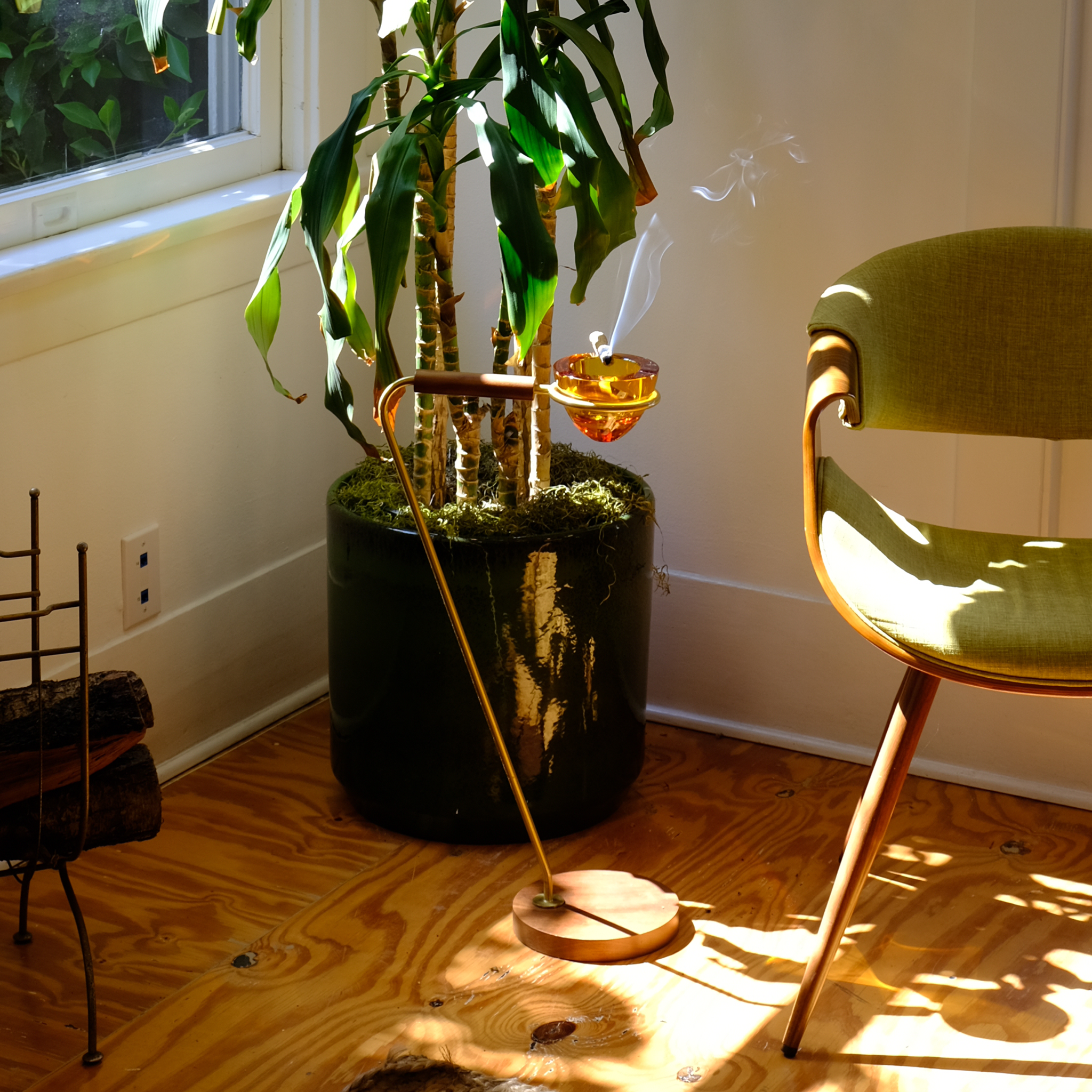house plant table Houseplant